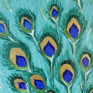 Feathers of splendor