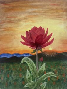 Morning glory