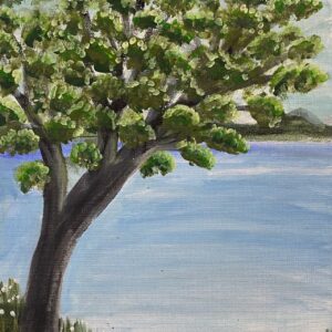 Strength and Serenity